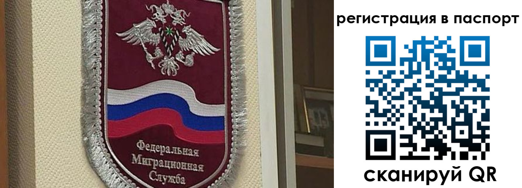 прописка законно в Шелехове